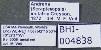Media type: image;   Entomology 609527 Aspect: labels